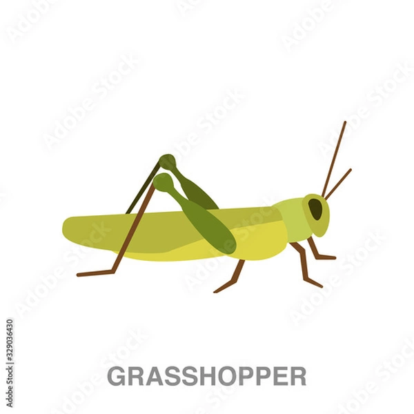 Fototapeta konik polny płaska ikona na białym przezroczystym tle. Ikona czarnej mrówki może być używana do kilku celów.