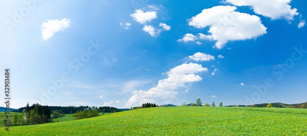 Obraz Green madow and bue sky