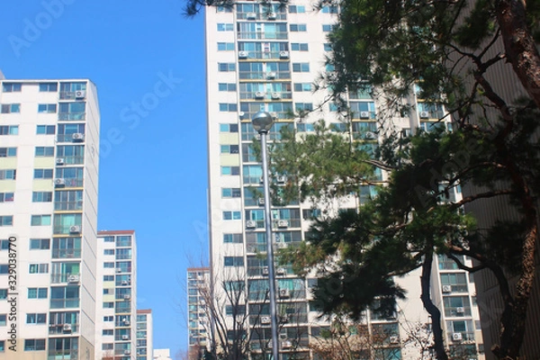 Fototapeta 소나무 와 아파트