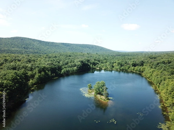 Fototapeta lake in deep forest