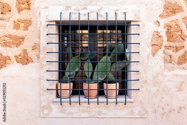 Obraz three cactuses behind bars 