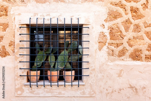 Obraz three cactuses behind bars 