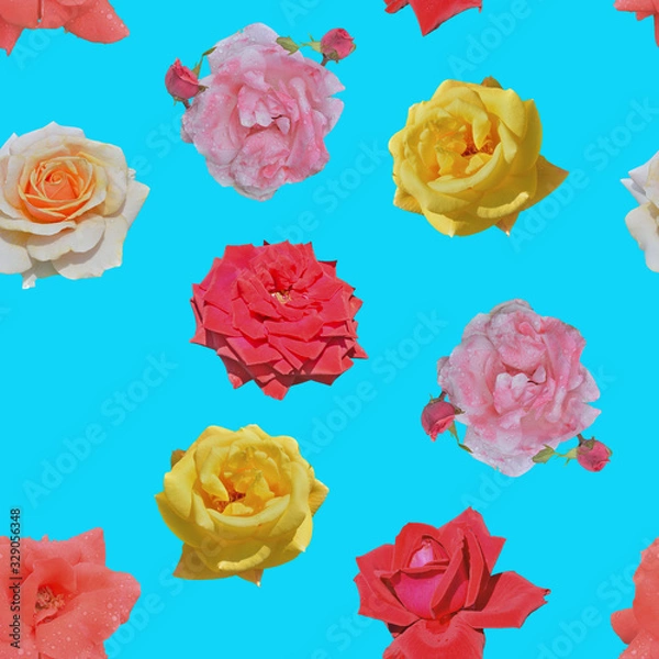 Fototapeta Roses of different colors. Seamless pattern.