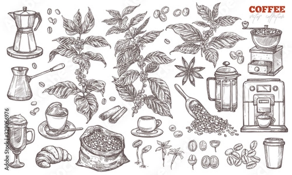Obraz Coffee vector sketch collection. Hand drawn isolated illustration of coffee tree branches and plants with different objects and elements