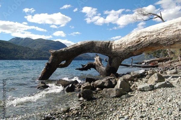Obraz Lago con montañas y árbol caído