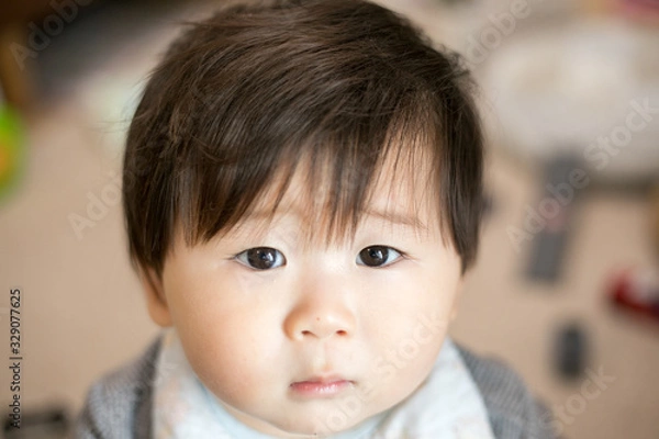Fototapeta 赤ちゃんの正面