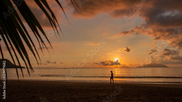 Obraz Evening Stroll