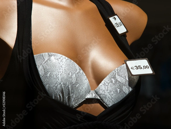 Obraz Female mannequin