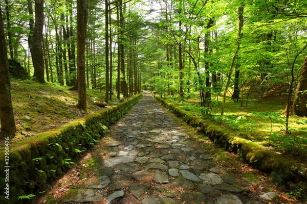 Obraz 軽井沢幸福の谷