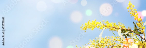 Fototapeta Spring background with blossom