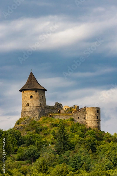 Obraz castle Somoska on Slovakia Hungarian border