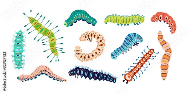 Obraz Set spring and summer colorful caterpillars. Pretty caterpillars different silhouette on white background. For festive card, banner, children, pattern, tattoo, decorative, concept. Vector illustration
