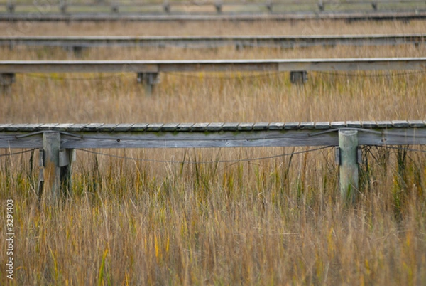 Obraz docks in the marsh