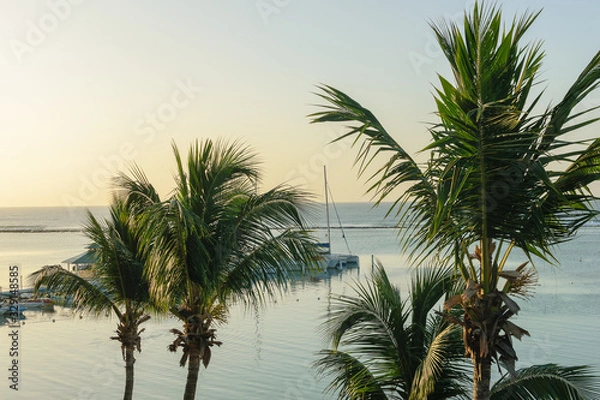 Obraz palm trees on the beach