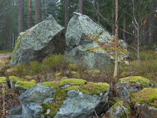 Obraz OLYMPUS DIGITAL CAMERA