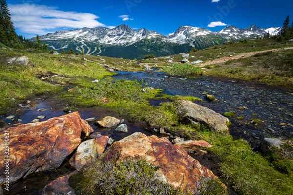 Obraz High Note Trail on British Columbia's Whistler Mountain offers hikers a breathtaking view of neighboring Blackcomb Mountain.