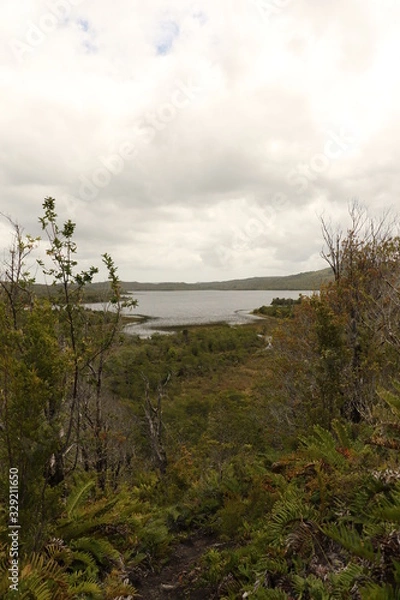 Obraz lago y sendero