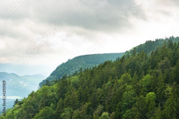 Obraz Misty mountain with forest on slopes
