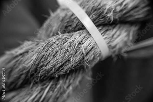 Obraz Rope