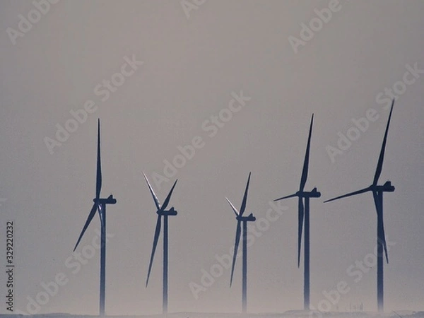 Obraz Molinos eolicos