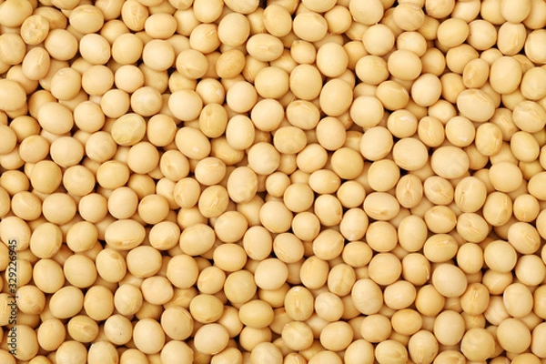 Obraz Soybean background