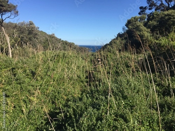 Obraz ocean through a gap