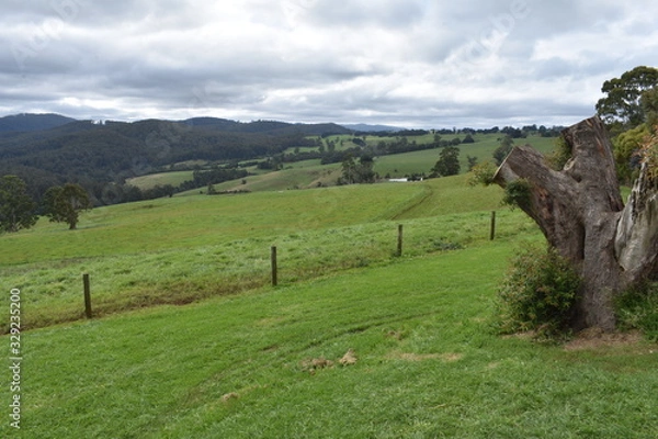 Obraz landscape in Gippsland