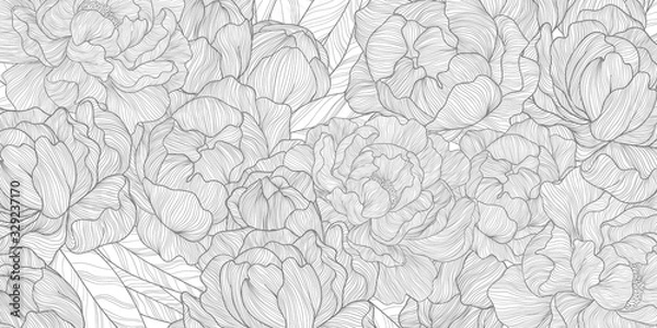 Fototapeta Vector horizontal background with line art hand drawn peonies flowers and leaves on white background. Romantic design for natural cosmetics, perfume, women products.