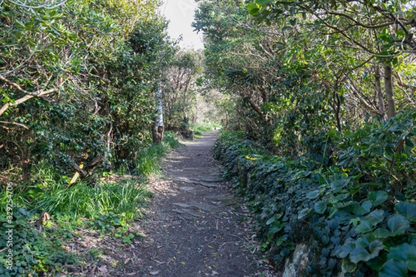 Fototapeta 仁右衛門島の風景　千葉県鴨川市　日本