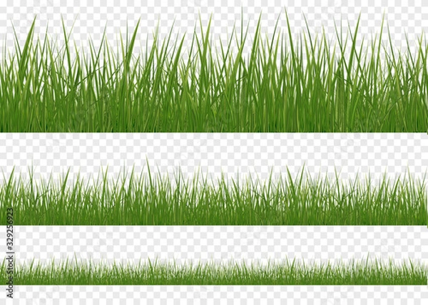 Obraz Realistic green grass