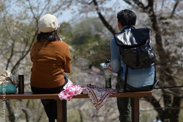 Obraz お花見