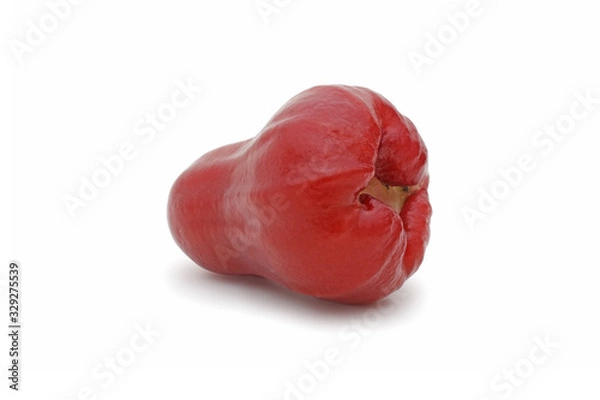 Fototapeta Single of rose apples, chomphu or thailand apple fruit isolated on white background