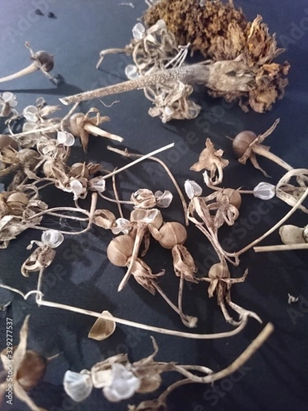 Fototapeta global computer network