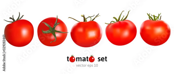 Fototapeta Set of five red fresh juicy ripe tomatoes on white background