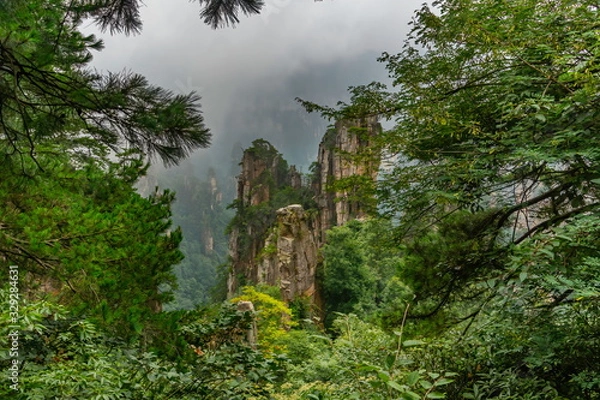 Obraz Yubi Feng Peaks through the trees of Tianzi Mountain.  Yuanjiajie Scenic Area , Zhangjiajie National Park, China