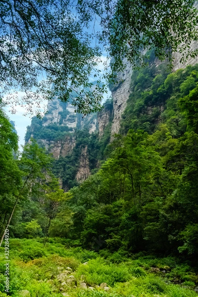 Obraz Golden Whip Stream trail in Zhangjiajie Grand Canyon, Yuanjiajie Scenic Area