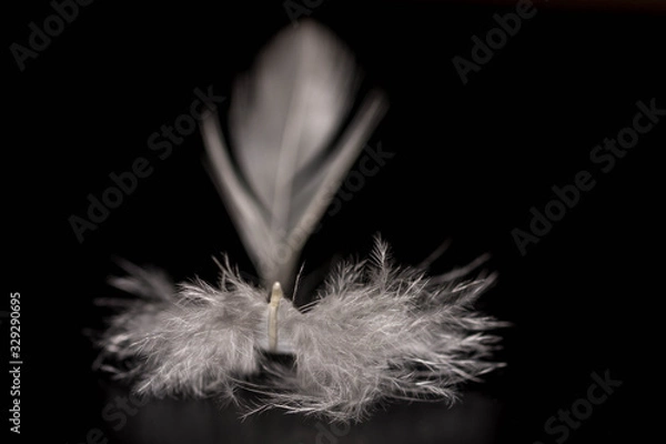 Obraz La danseuse...!