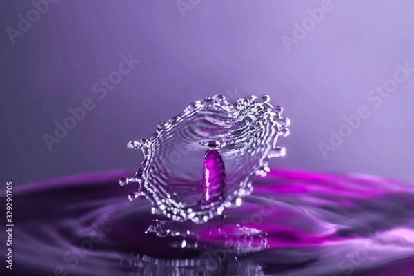 Obraz Le pêcheur au filet....!