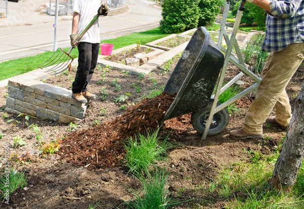 Obraz Taczka pełna ściółki