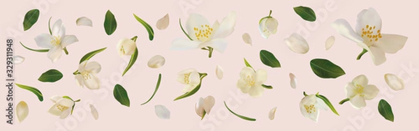 Fototapeta 3D realistyczny jaśmin z zielonym liściem. Biały kwiat jaśminu w ruchu. Piękne zbliżenie jaśminu. Ilustracji wektorowych.