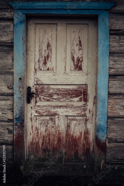 Obraz Vintage door with blue frame