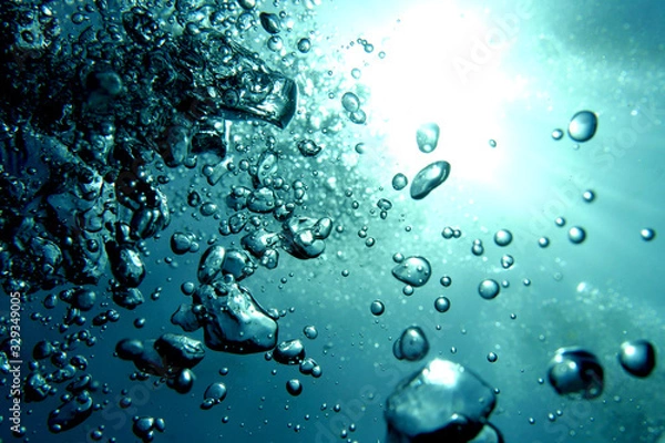 Fototapeta 海　ダイビング　写真　