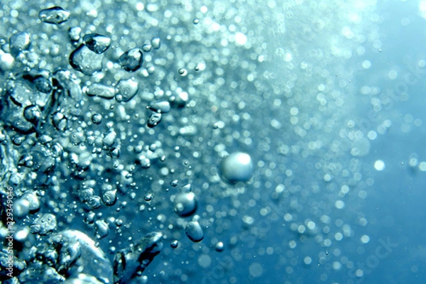 Fototapeta 海　ダイビング　写真　