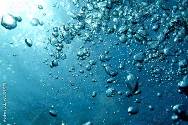 Obraz 海　ダイビング　写真　