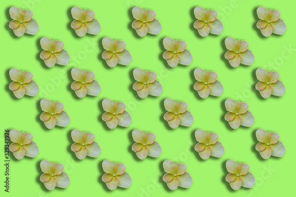 Fototapeta seamless pattern with flowers