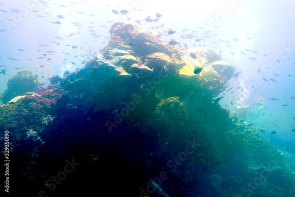 Obraz 海　ダイビング　写真　