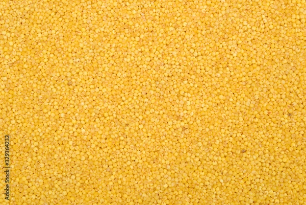 Obraz Millet yellow background
