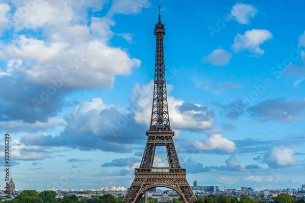 Obraz Ieiffel tower paris from far