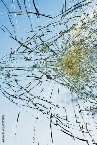 Obraz web of splits on the triplex windscreen