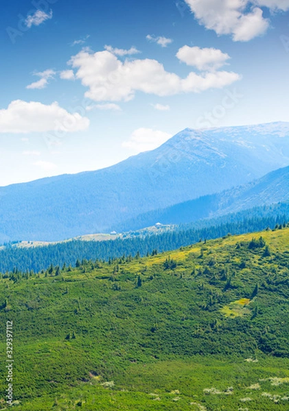 Fototapeta Photo of green meadows and hills at summer day in Carpathian mountains